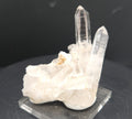 "Fallen Trees" - Mounted Quartz Crystal Specimen