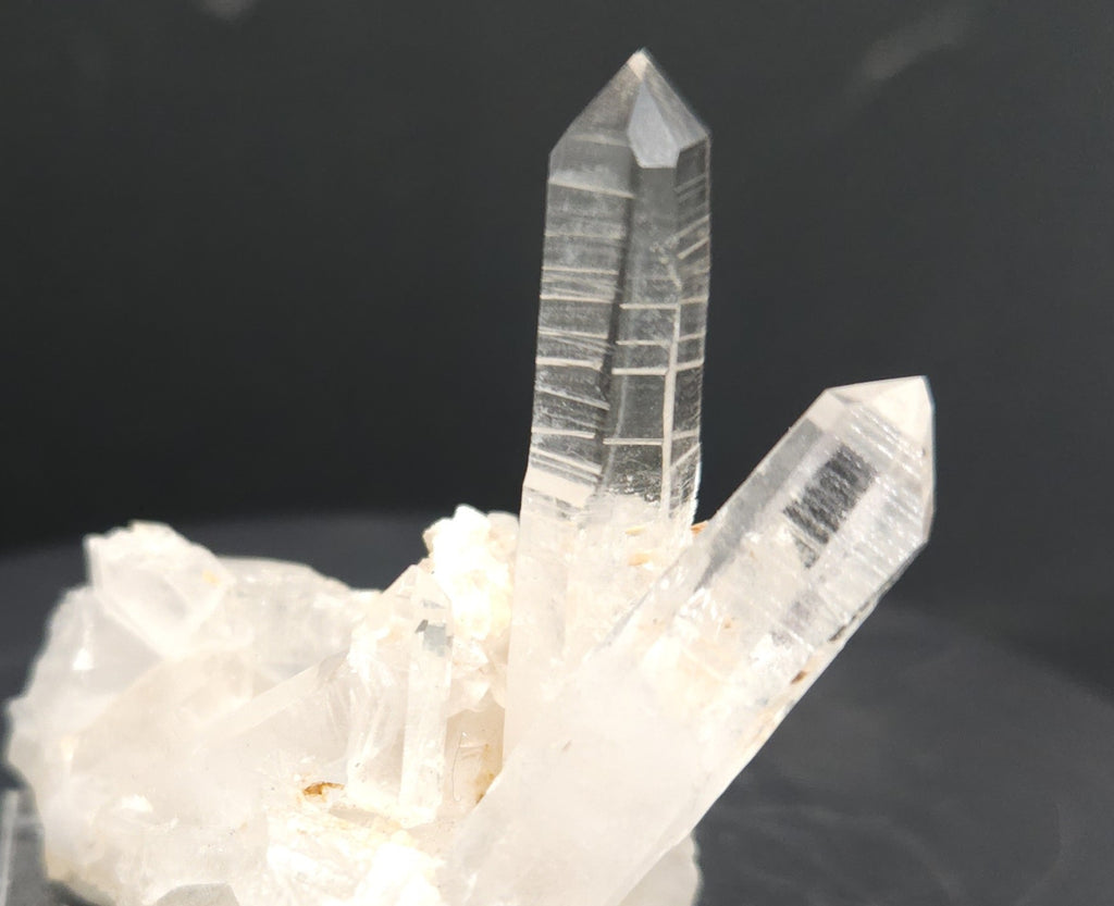 "Fallen Trees" - Mounted Quartz Crystal Specimen