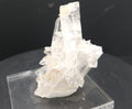 "Still Standing" - Mounted Quartz Crystal Specimen