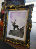 Two Headed Stag - Original, Signed Watercolor - 1.5"x2" in a 2"x3" magnetic frame